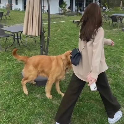 不过是分手第二季 封面