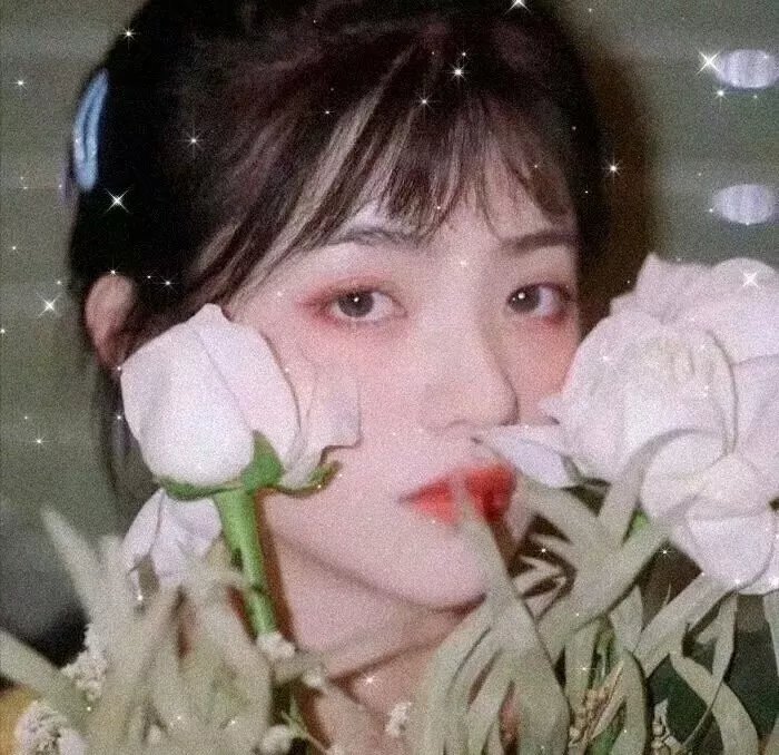 臭鼬 封面